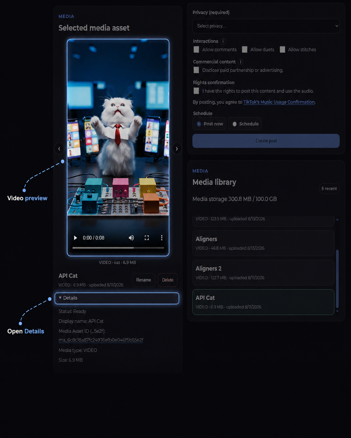 Selected media asset preview and Details section
